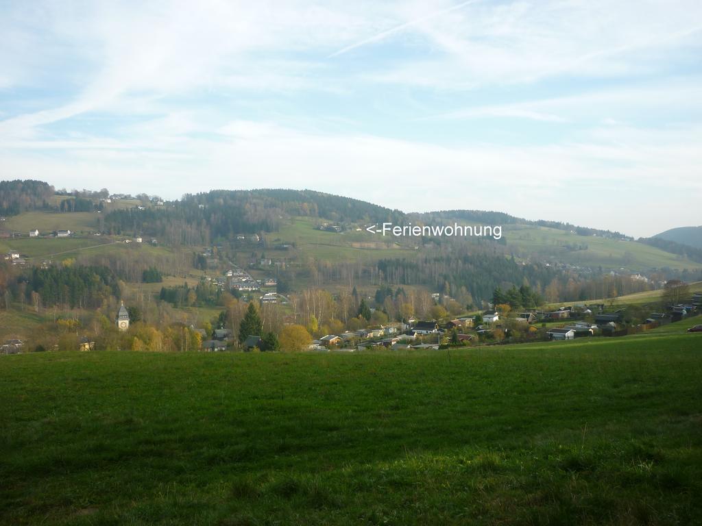 Ferienwohnung Laempelberg Klingenthal Pokój zdjęcie