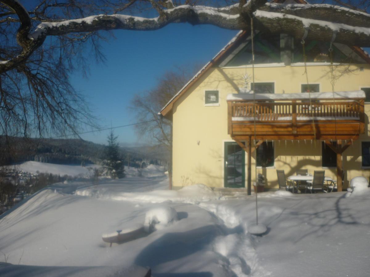 Ferienwohnung Laempelberg Klingenthal Zewnętrze zdjęcie